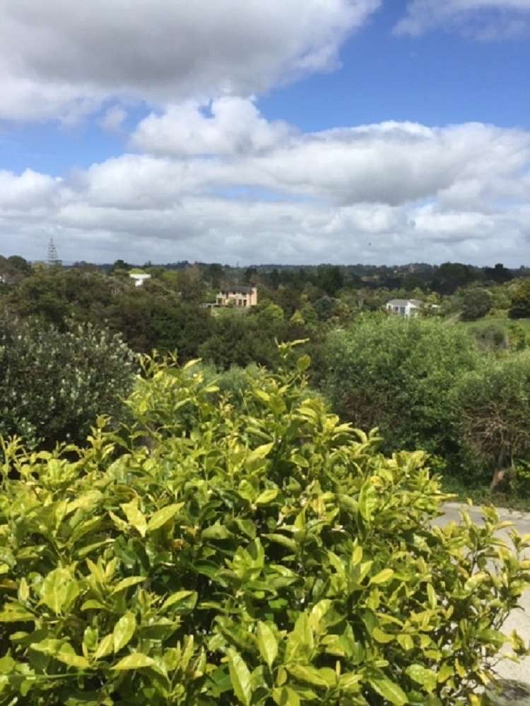 219 Gills Road Albany Heights_3