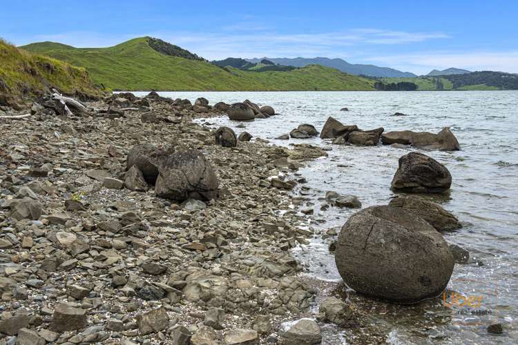 Brindle Road Whirinaki_1