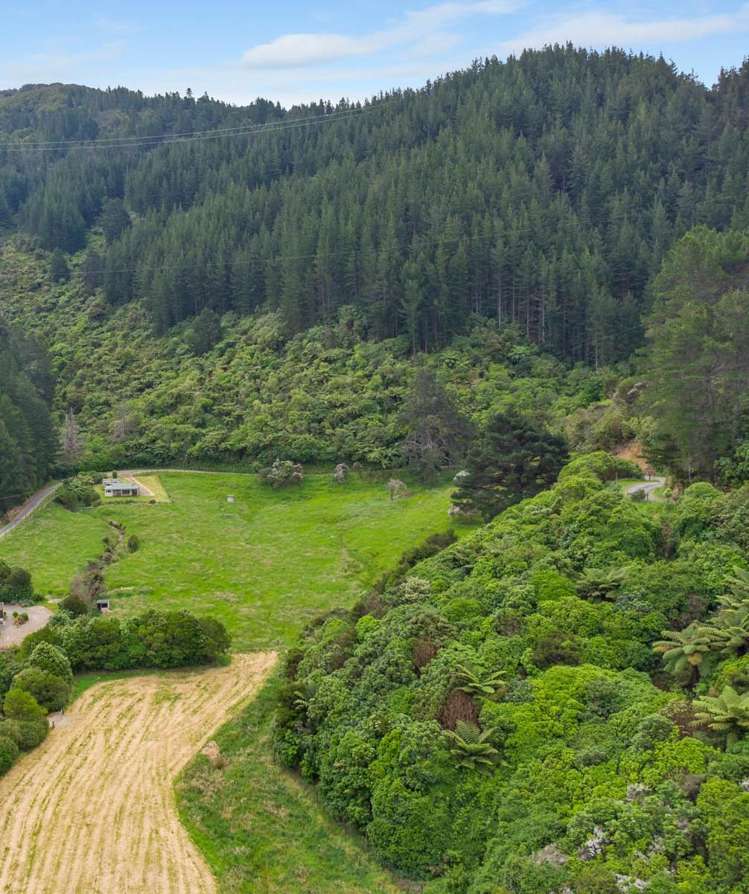 Kakapo Bay Port Underwood_13