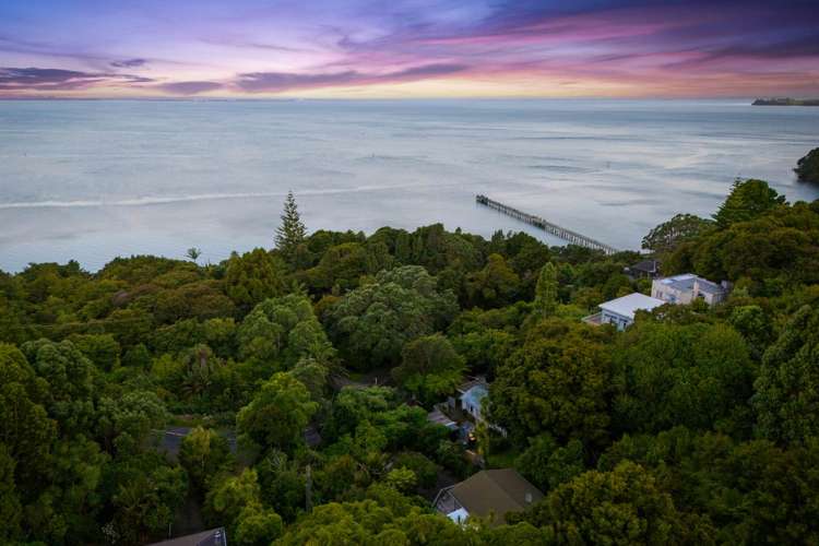 97 Cornwallis Road Cornwallis_12