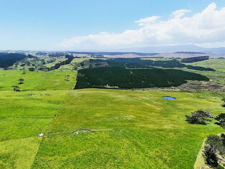 Lot Lot 2 Scottys Camp Road Dargaville_10
