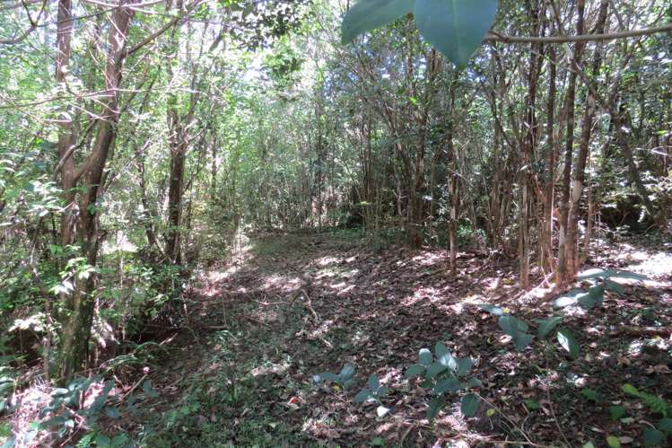 3750 State Highway 10 Kaeo_14