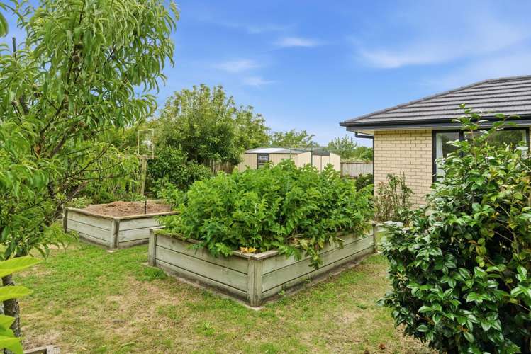 8 Sunrise Place Te Aroha_13