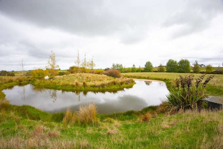 620 Taonui Road Colyton_8