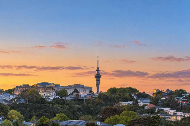 20D Wiles Avenue Remuera_2
