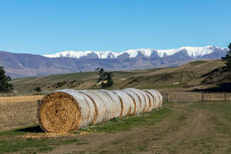 Rocky Gully Road Albury_13