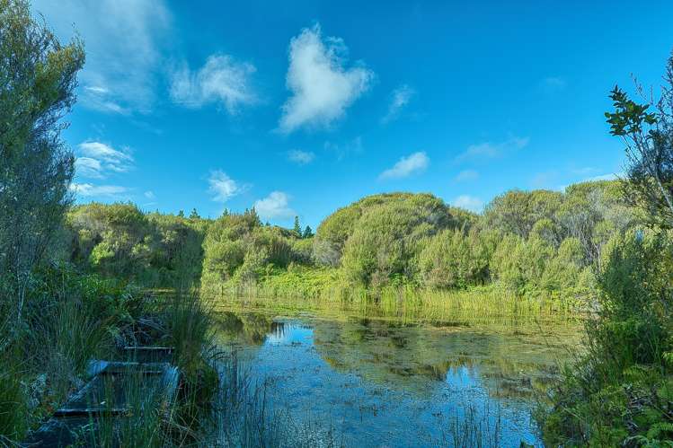 192 Keogans Road Hokitika_51