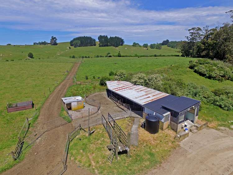 31 Ludbrook Road Pakaraka_23