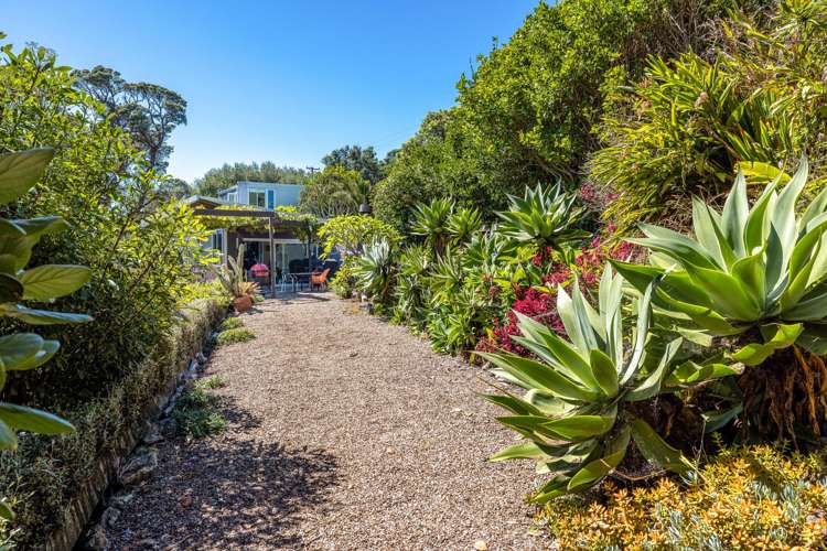 1 Rothschild Terrace Waiheke Island_31