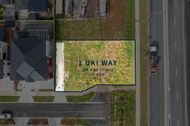 1 Uki Way Flat Bush_3