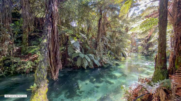 Leslie Road Putaruru_10