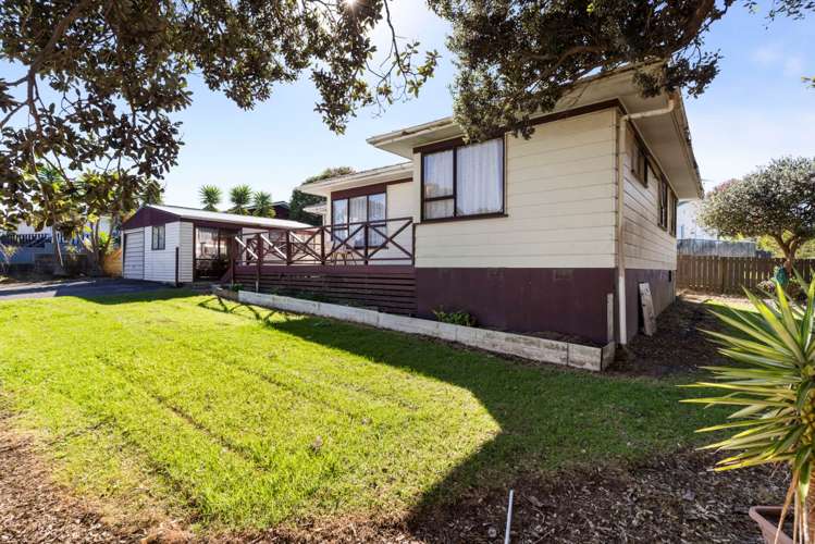 72 Finlayson Avenue Clendon Park_5