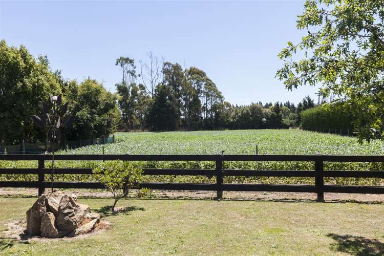 49 Clothiers Road Swannanoa_6