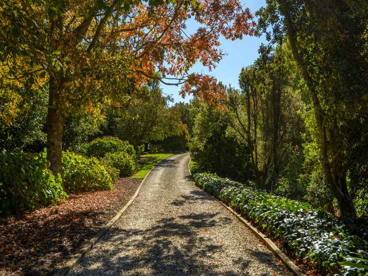 59d Western Avenue Omokoroa_27