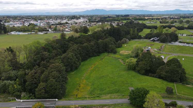 87 Avenue Road South Morrinsville_6