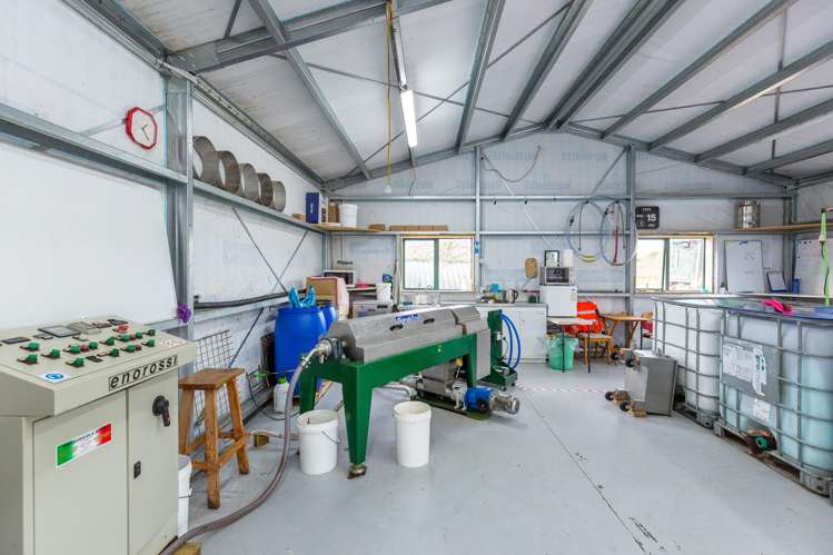 244 Dakins Road East Taratahi_11