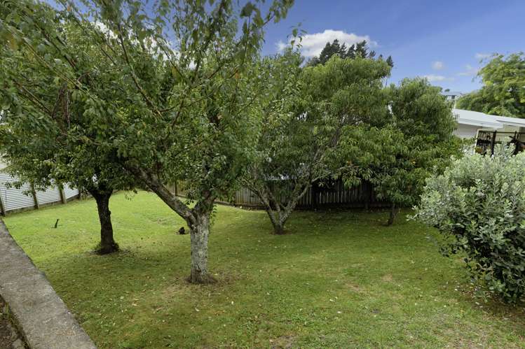 44 Paine Street Judea_15