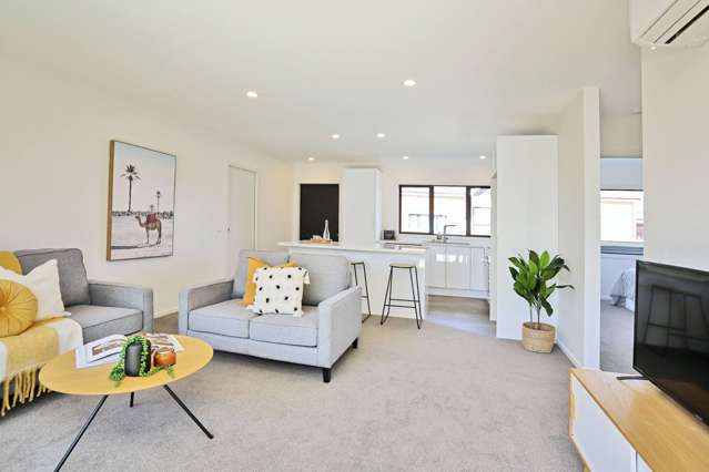 29 Nelson Street Georgetown_2