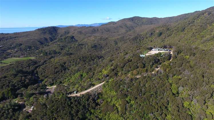 175 Parapara Valley Road Parapara_17