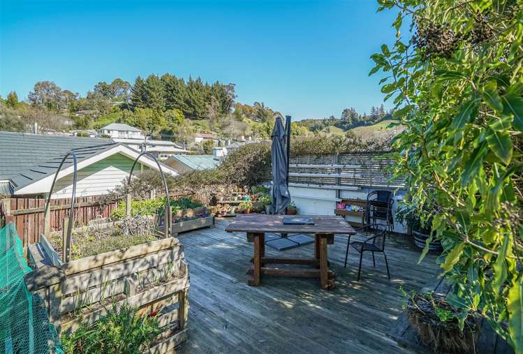 87 Toi Toi Street Toi Toi_12