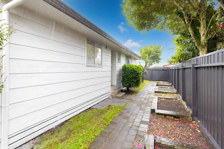 36d Puriri Street Nawton_10