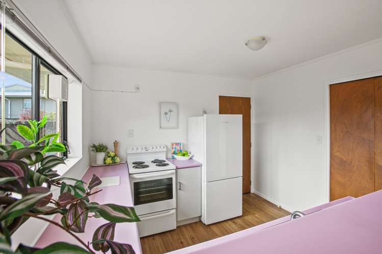 2/38 Waimea Street Westown_6