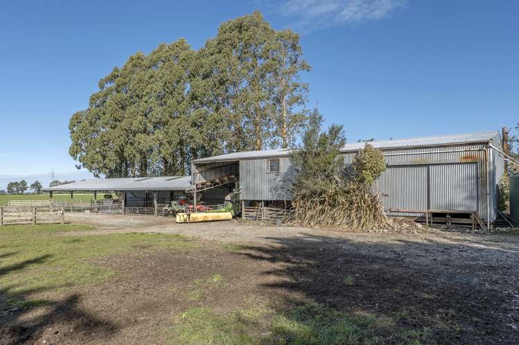 1963 Ealing Montalto Road Ashburton Surrounds_12