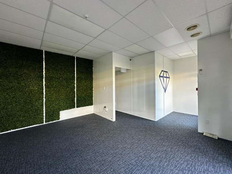 29 Totara Street_0