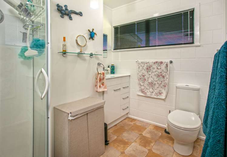 2065 Rings Road Coromandel_15