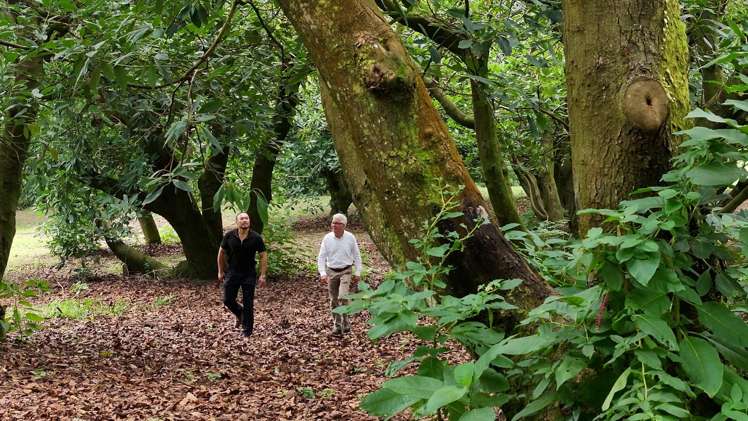 138 Te Puna Road Te Puna_22