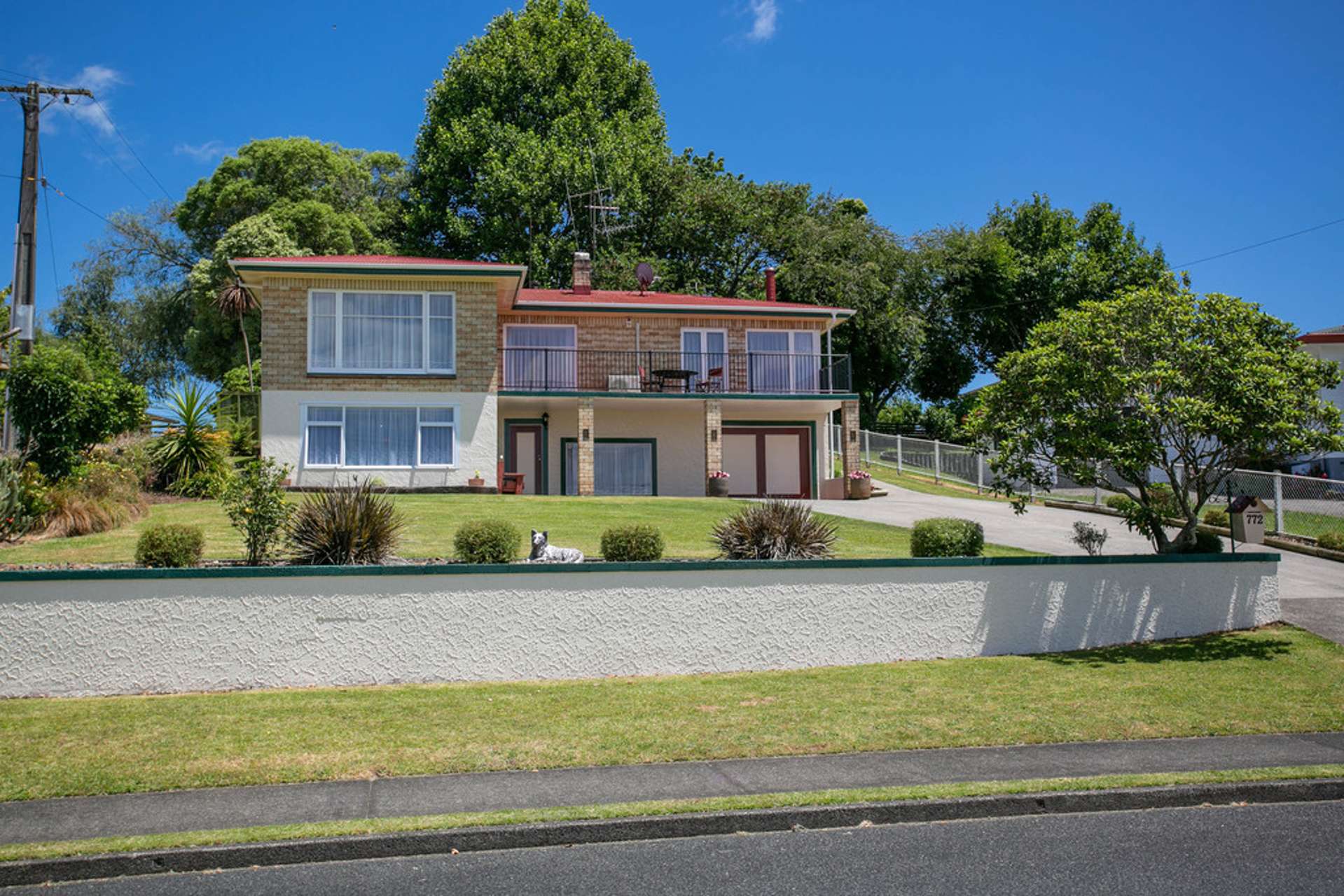 772 Pakura Street Te Awamutu_0