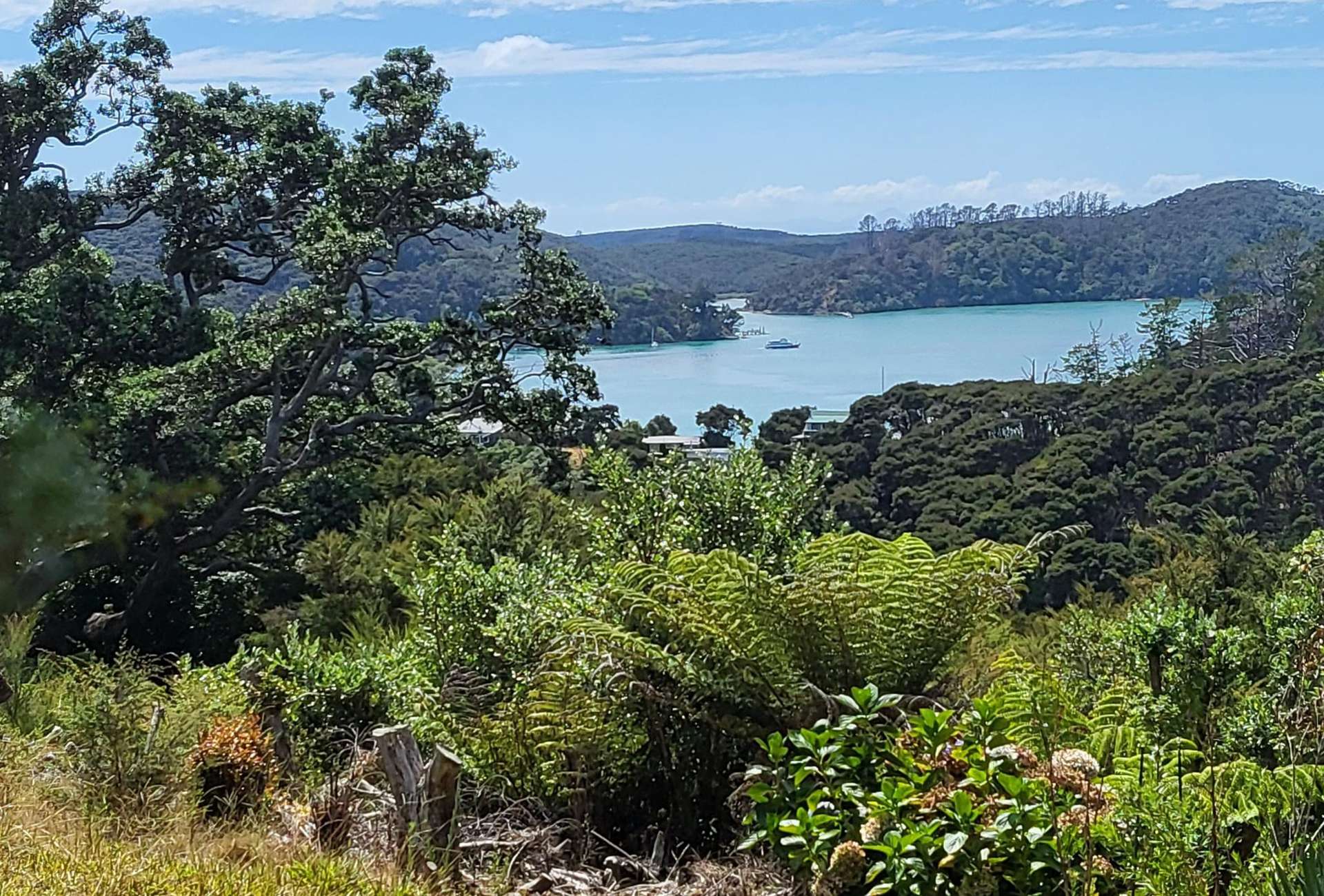 10 Wilson Avenue Kawau Island_0