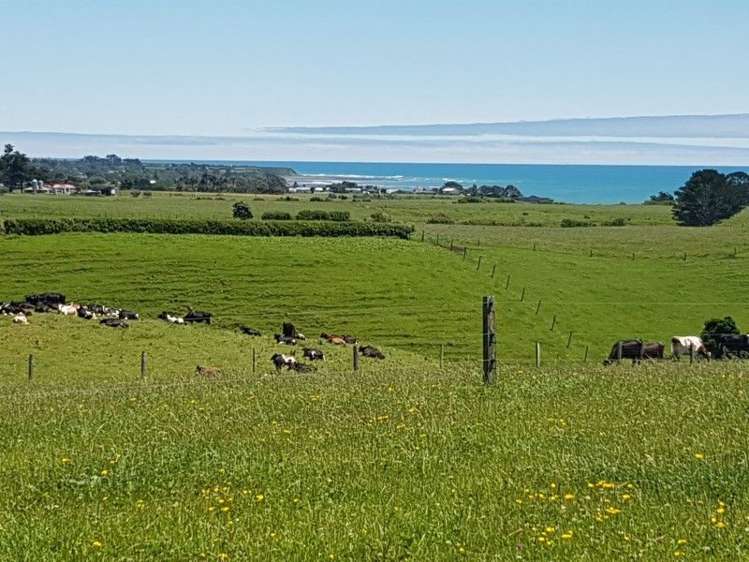 80 Koru Road Omata_17