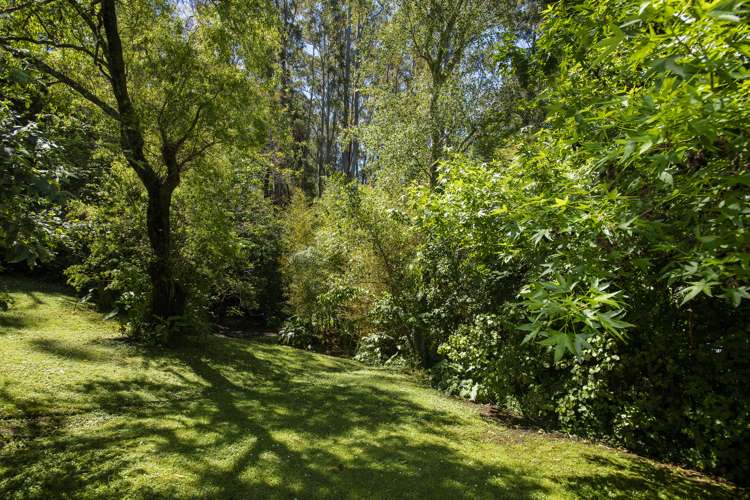 26 Hill Road Whataupoko_21