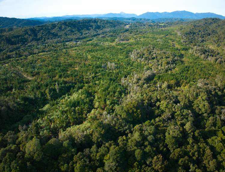 330 Rutherglen Road Marsden_36