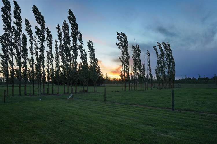 923 Downs Road West Eyreton_42