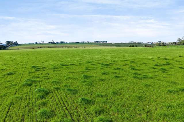 0n Ranfurly Street Waitara_4