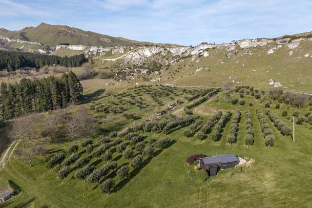 101 Laidmore Road Broomfield_4