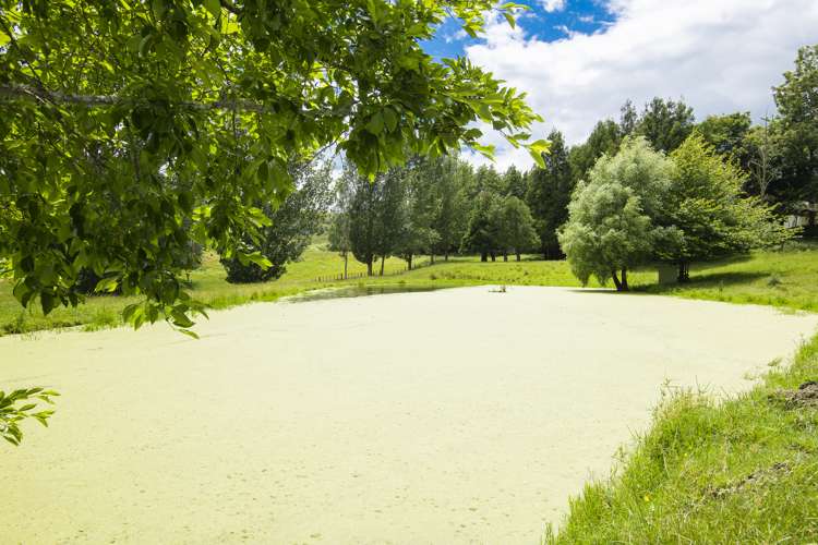 102 Ormond Valley Road Ormond_16