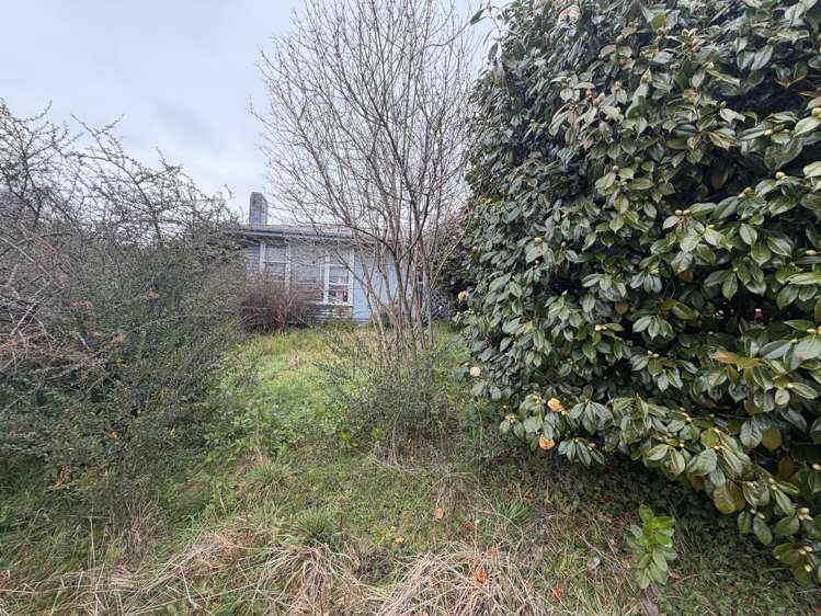 6 Mallard Drive Selwyn Heights_10