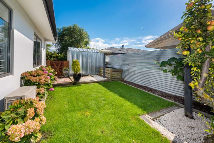 3b North Street Redwoodtown_14