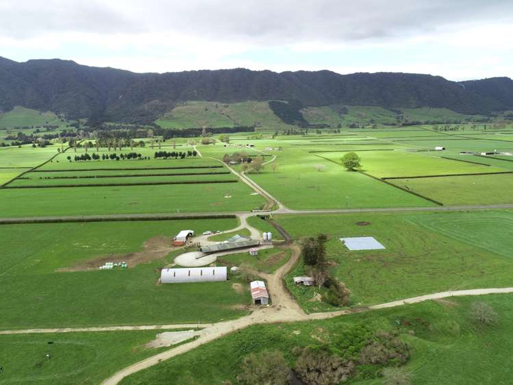 12/1212A Tower Road Matamata_2