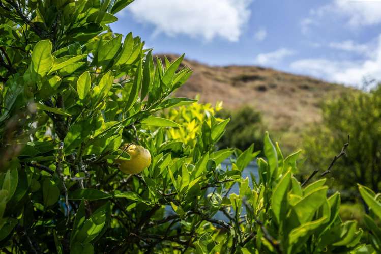 57 State Highway 3 Marybank_9