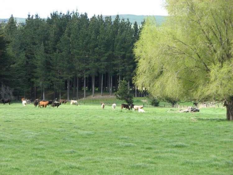 171 Hinakura Road Martinborough_14