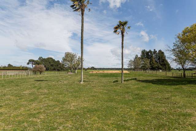 35 Ngamoko Road Norsewood_1