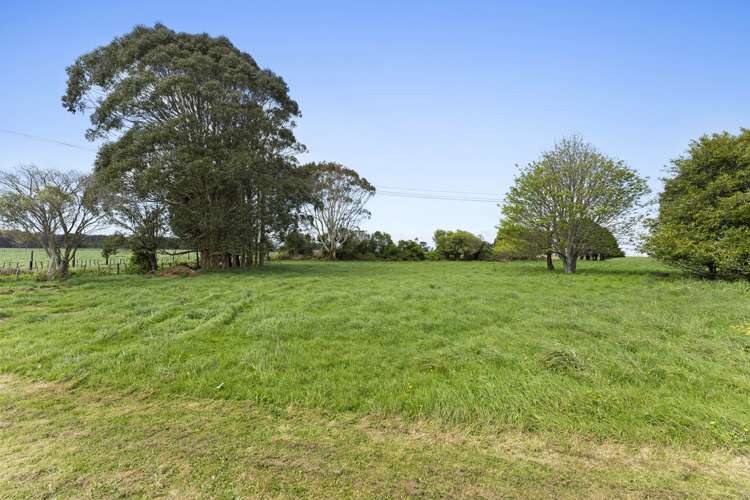 1253 Kohi Road Waverley_9