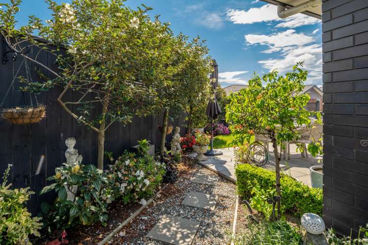 9 Korari Grove Redwoodtown_13