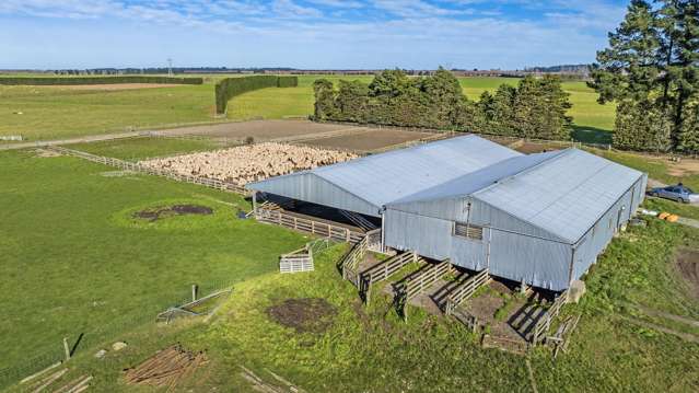 675 Rakaia Terrace Road Te Pirita_4