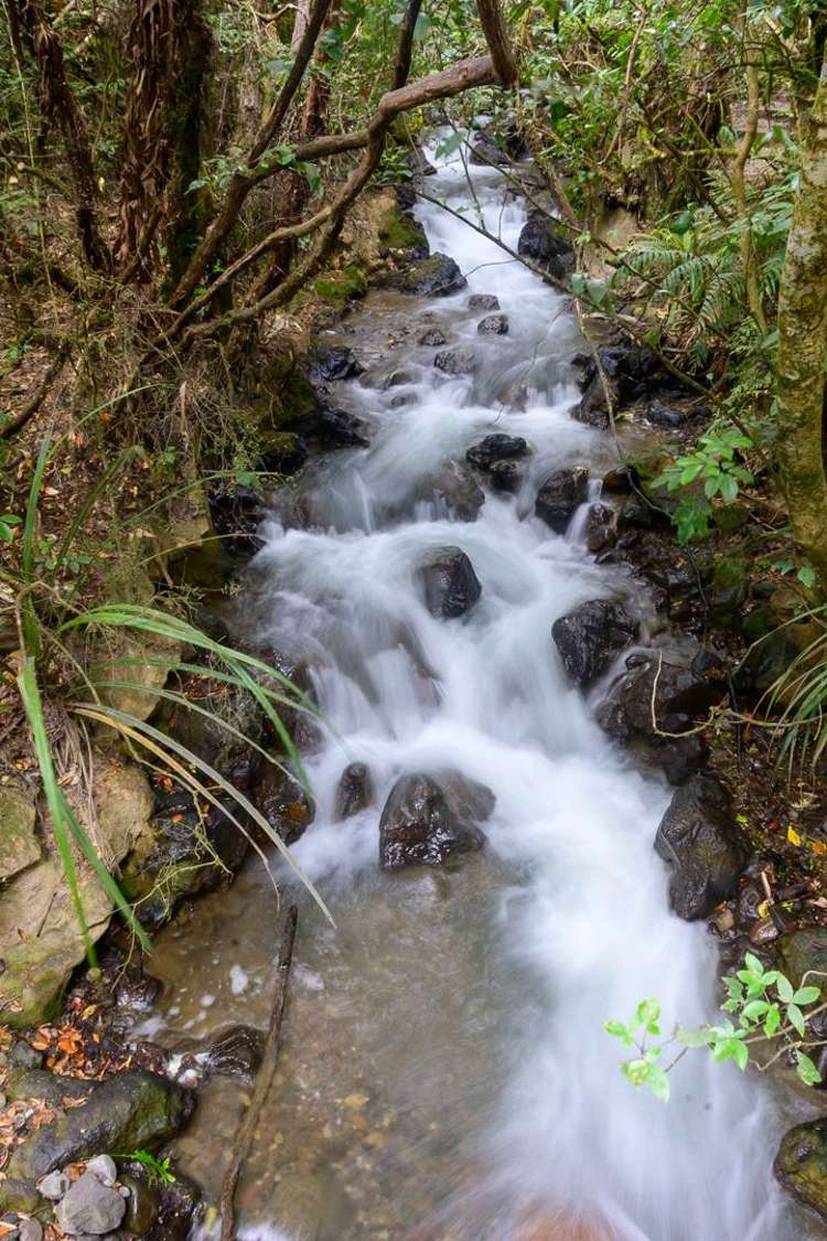 241 Taupahi Road Turangi_16