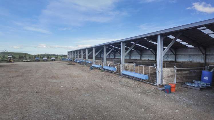 500 Willowford Road Waiwhare_24